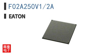 F02A250V1/2A ͼƬ