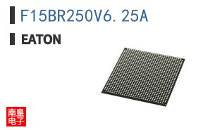 F15BR250V6.25A ͼƬ