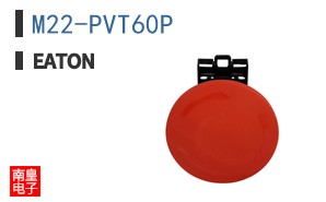 M22-PVT60P ͼƬ