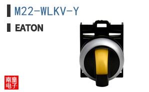 M22-WLKV-Y ͼƬ
