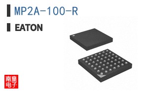 MP2A-100-R ͼƬ