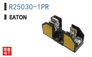 R25030-1PR ͼƬ