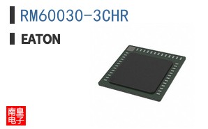 RM60030-3CHR ͼƬ
