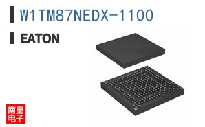 W1TM87NEDX-1100 ͼƬ