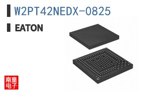 W2PT42NEDX-0825 ͼƬ