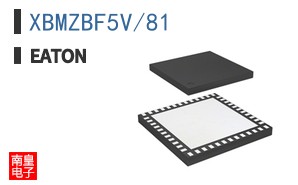 XBMZBF5V/81 ͼƬ