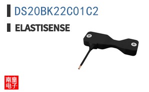 DS20BK22C01C2 ͼƬ