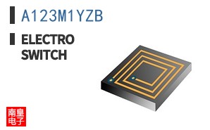 A123M1YZB ͼƬ