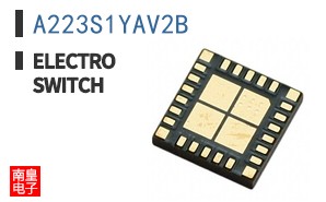 A223S1YAV2B ͼƬ