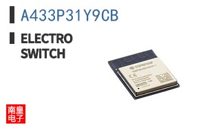 A433P31Y9CB ͼƬ