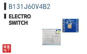 B131J60V4B2 ͼƬ