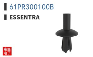 61PR300100B ͼƬ