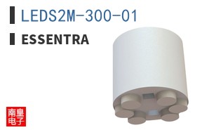LEDS2M-300-01 ͼƬ