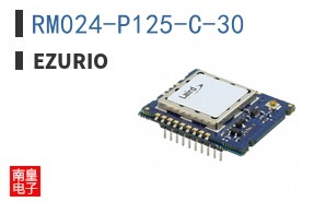 RM024-P125-C-30 ͼƬ