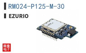 RM024-P125-M-30 ͼƬ