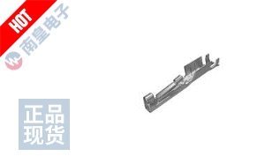 10155447-313LF 图片