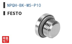 NPQH-BK-M5-P10 ͼƬ