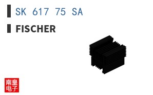 SK 617 75 SA ͼƬ