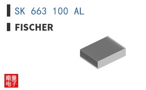 SK 663 100 AL ͼƬ