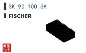 SK 90 100 SA ͼƬ