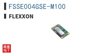 FSSE004GSE-M100 ͼƬ