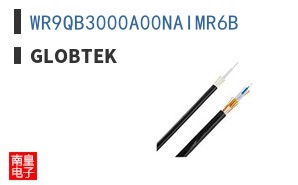 WR9QB3000A00NAIMR6B ͼƬ