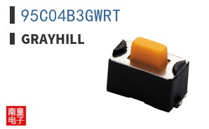 95C04B3GWRT ͼƬ