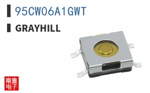 95CW06A1GWT ͼƬ
