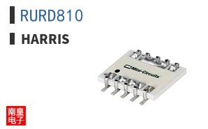 RURD810 ͼƬ