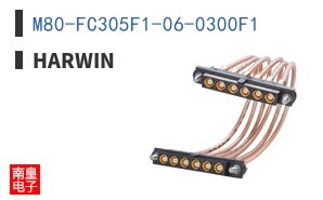 M80-FC305F1-06-0300F1 ͼƬ