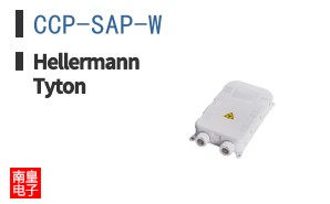 CCP-SAP-W ͼƬ