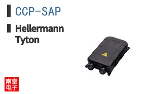 CCP-SAP ͼƬ