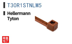 T30R1STNLM5 ͼƬ