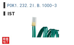 P0K1.232.2I.B.1000-3 ͼƬ