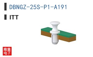 DBNGZ-25S-P1-A191 ͼƬ