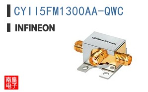 CYII5FM1300AA-QWC ͼƬ