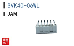 SVK40-06WL ͼƬ