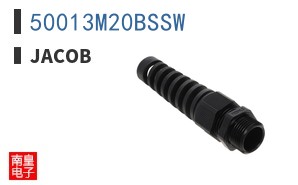 50013M20BSSW ͼƬ