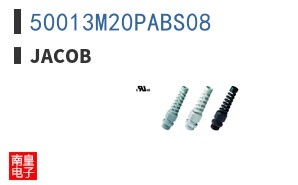 50013M20PABS08 ͼƬ