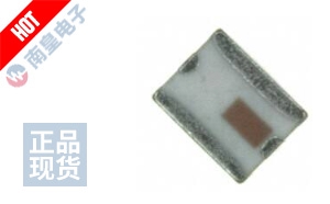 2450BP41D100B ͼƬ