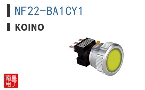 NF22-BA1CY1 ͼƬ