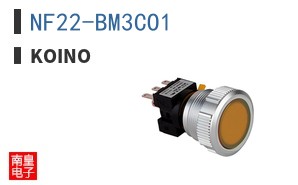 NF22-BM3CO1 ͼƬ