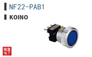 NF22-PAB1 ͼƬ