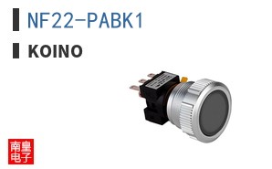 NF22-PABK1 ͼƬ