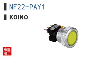 NF22-PAY1 ͼƬ