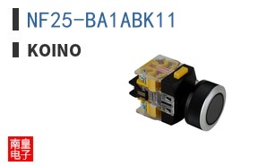 NF25-BA1ABK11 ͼƬ