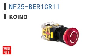 NF25-BER1CR11 ͼƬ