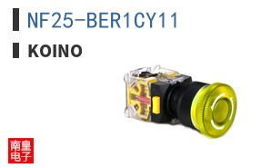 NF25-BER1CY11 ͼƬ