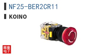 NF25-BER2CR11 ͼƬ