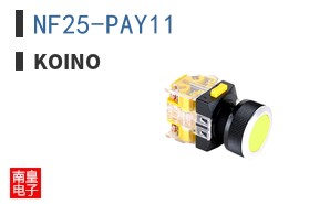 NF25-PAY11 ͼƬ